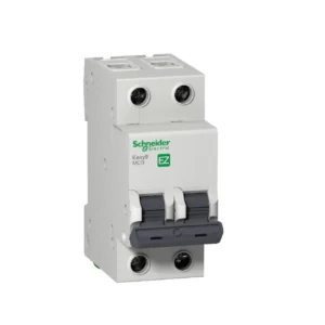 INTERRUPTOR AUT TERMOMAG P/RIEL 2X16A 230/400VAC 10/6KA EASY9 EZ9F56216